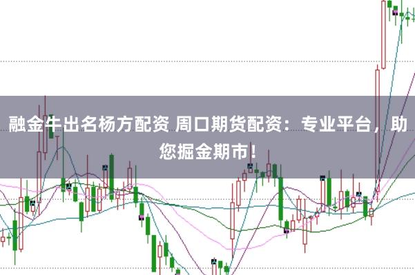 融金牛出名杨方配资 周口期货配资：专业平台，助您掘金期市！