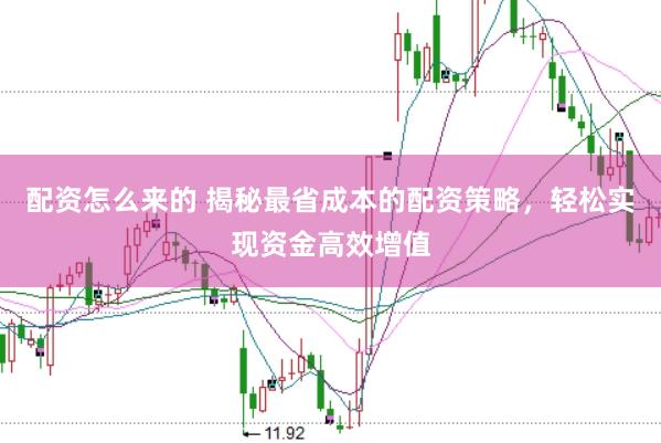 配资怎么来的 揭秘最省成本的配资策略，轻松实现资金高效增值