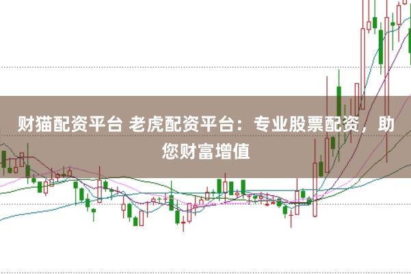 财猫配资平台 老虎配资平台：专业股票配资，助您财富增值
