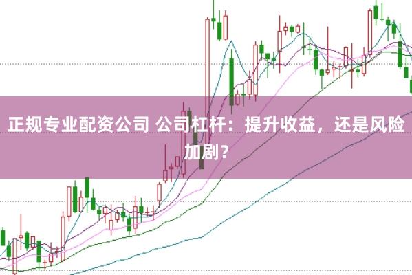 正规专业配资公司 公司杠杆：提升收益，还是风险加剧？