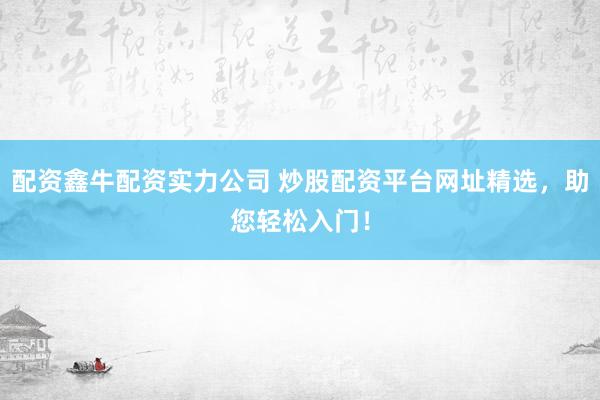配资鑫牛配资实力公司 炒股配资平台网址精选，助您轻松入门！
