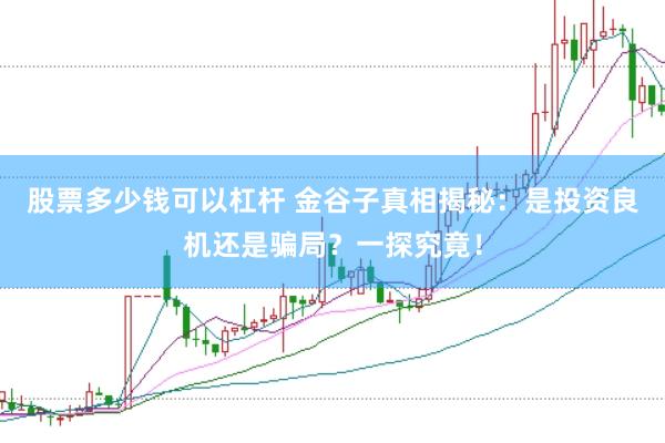 股票多少钱可以杠杆 金谷子真相揭秘：是投资良机还是骗局？一探究竟！
