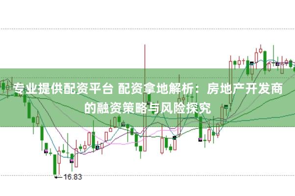 专业提供配资平台 配资拿地解析：房地产开发商的融资策略与风险探究