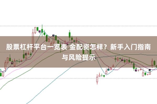 股票杠杆平台一览表 金配资怎样？新手入门指南与风险提示