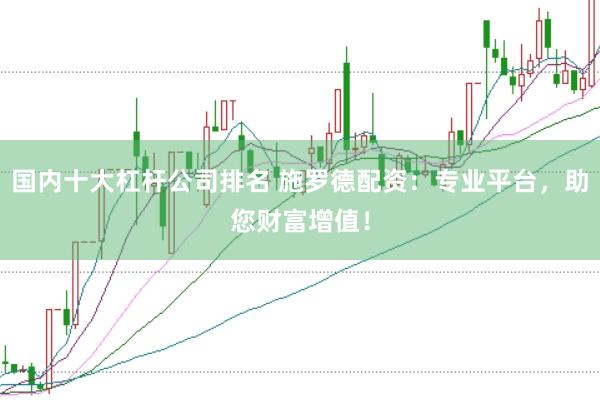 国内十大杠杆公司排名 施罗德配资：专业平台，助您财富增值！