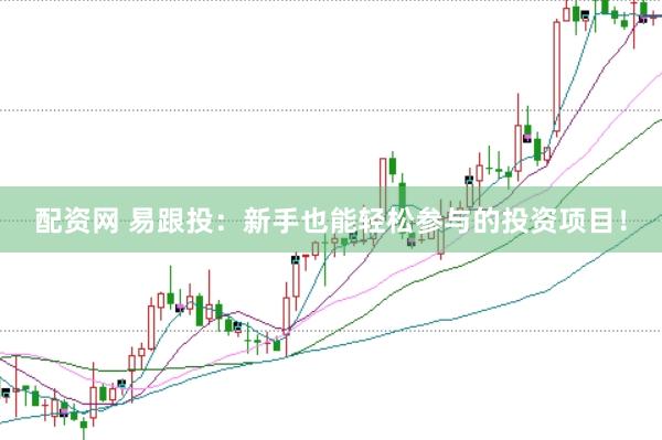 配资网 易跟投：新手也能轻松参与的投资项目！