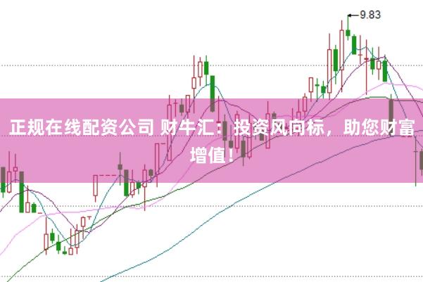 正规在线配资公司 财牛汇：投资风向标，助您财富增值！