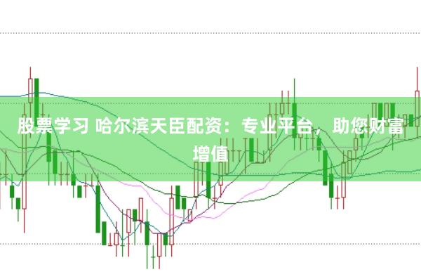股票学习 哈尔滨天臣配资：专业平台，助您财富增值