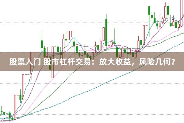 股票入门 股市杠杆交易:放大收益,风险几何?