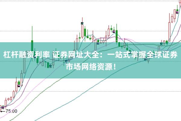 杠杆融资利率 证券网址大全：一站式掌握全球证券市场网络资源！