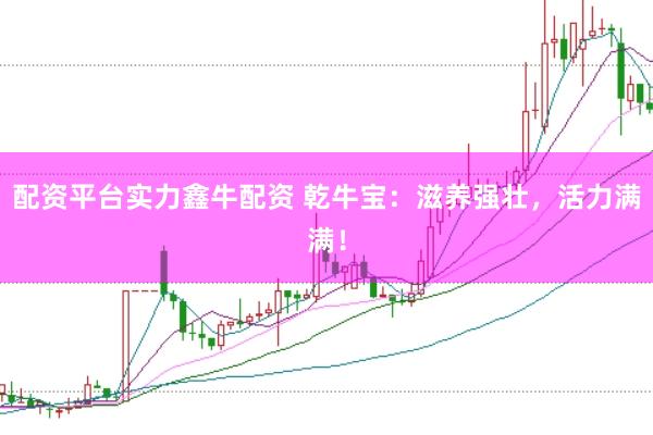 配资平台实力鑫牛配资 乾牛宝：滋养强壮，活力满满！