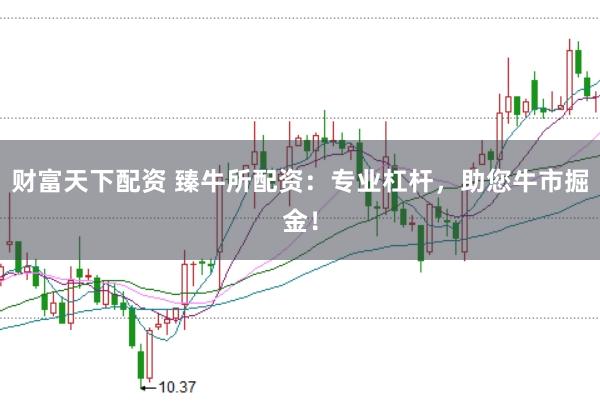 财富天下配资 臻牛所配资：专业杠杆，助您牛市掘金！