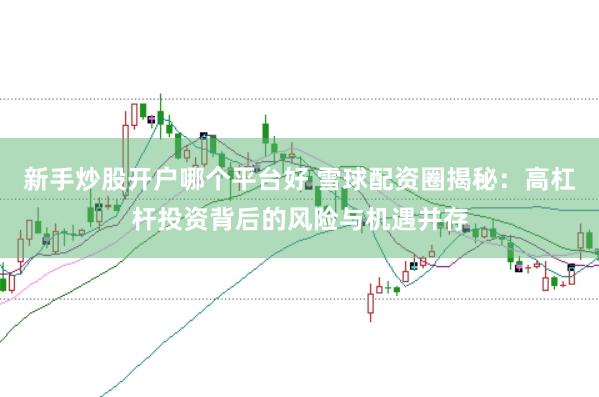 新手炒股开户哪个平台好 雪球配资圈揭秘：高杠杆投资背后的风险与机遇并存