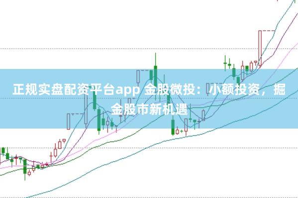 正规实盘配资平台app 金股微投：小额投资，掘金股市新机遇
