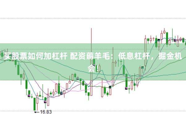 买股票如何加杠杆 配资薅羊毛：低息杠杆，掘金机会！