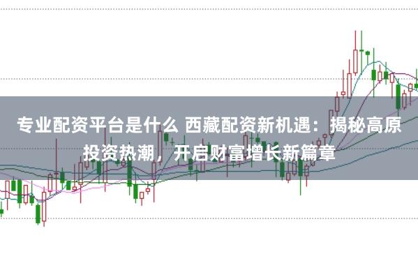 专业配资平台是什么 西藏配资新机遇：揭秘高原投资热潮，开启财富增长新篇章