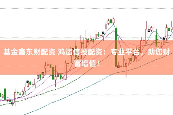 基金鑫东财配资 鸿运信投配资：专业平台，助您财富增值！
