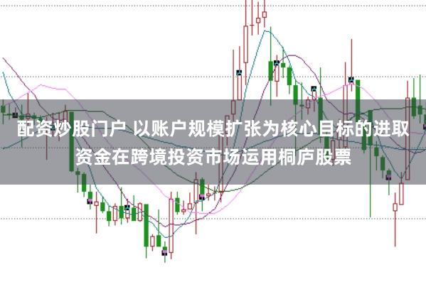 配资炒股门户 以账户规模扩张为核心目标的进取资金在跨境投资市场运用桐庐股票