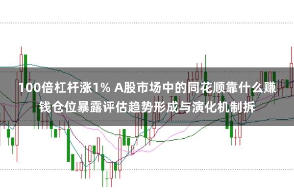 100倍杠杆涨1% A股市场中的同花顺靠什么赚钱仓位暴露评估趋势形成与演化机制拆