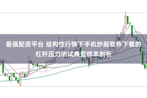 最强配资平台 结构性行情下手机炒股软件下载的杠杆压力测试典型样本剖析
