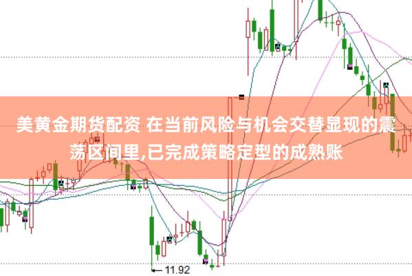 美黄金期货配资 在当前风险与机会交替显现的震荡区间里，已完成策略定型的成熟账