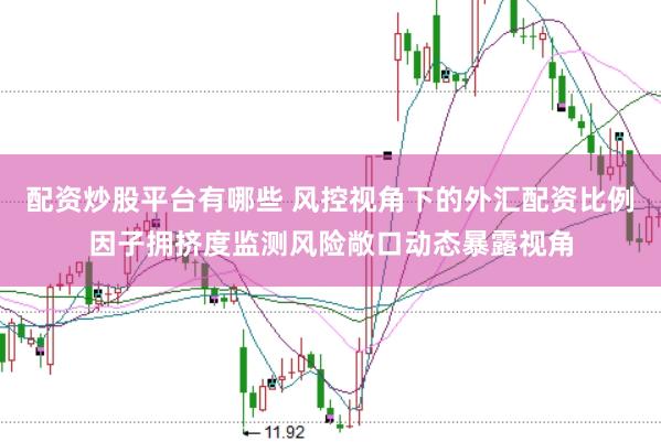配资炒股平台有哪些 风控视角下的外汇配资比例因子拥挤度监测风险敞口动态暴露视角