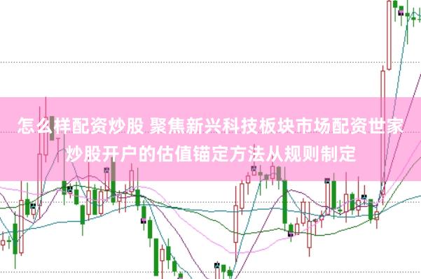 怎么样配资炒股 聚焦新兴科技板块市场配资世家炒股开户的估值锚定方法从规则制定