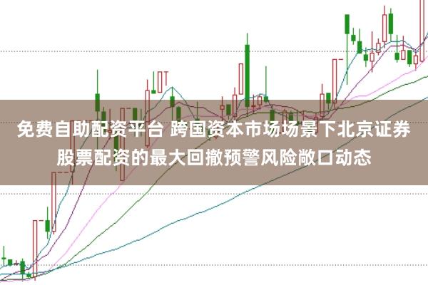 免费自助配资平台 跨国资本市场场景下北京证券股票配资的最大回撤预警风险敞口动态