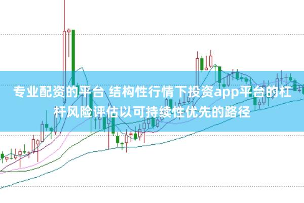 专业配资的平台 结构性行情下投资app平台的杠杆风险评估以可持续性优先的路径