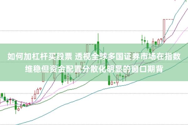 如何加杠杆买股票 透视全球多国证券市场在指数维稳但资金配置分散化明显的窗口期背